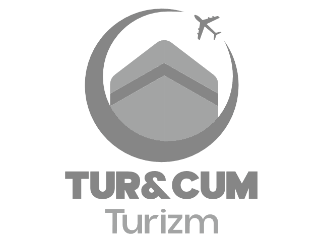 T1
